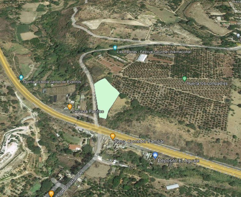 Foto de la galeria de imagenes