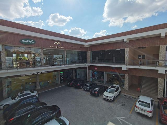 Foto de la galeria de imagenes