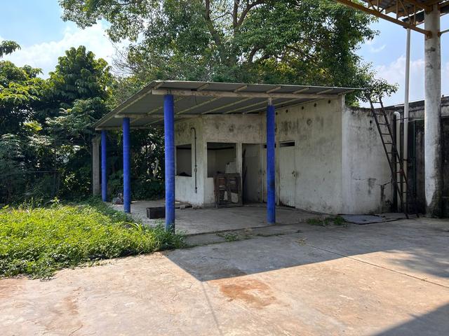 Foto de la galeria de imagenes