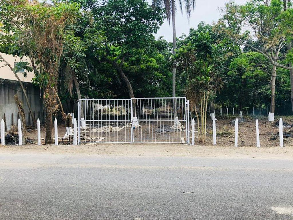 Foto de la galeria de imagenes