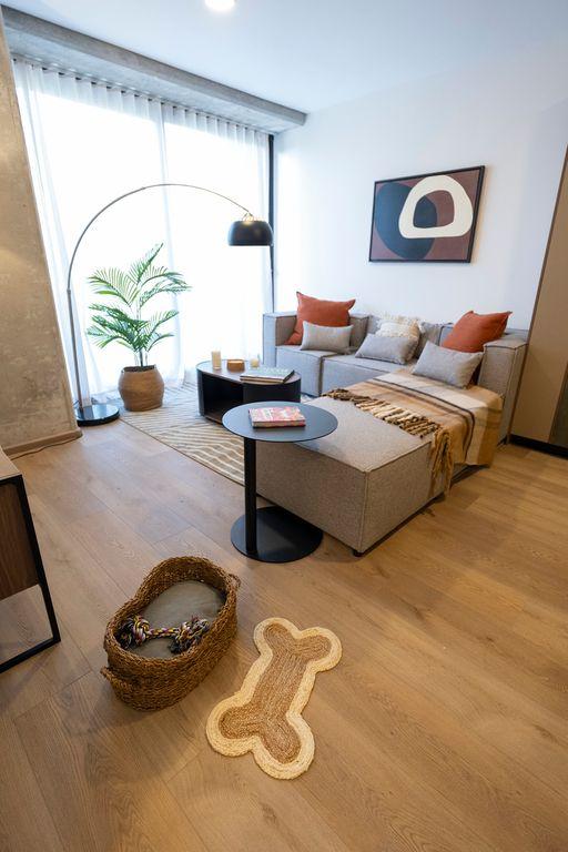 Foto de la galeria de imagenes