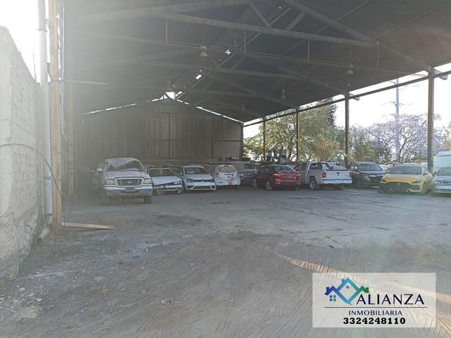 Foto de la galeria de imagenes