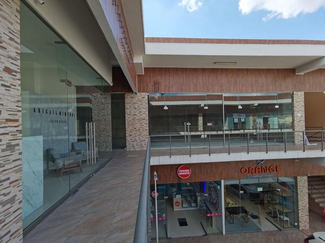 Foto de la galeria de imagenes