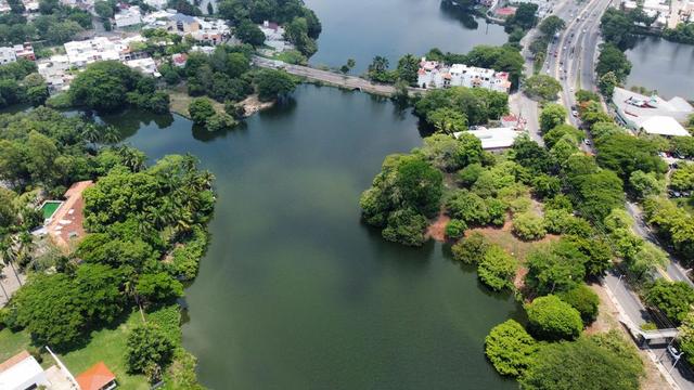 Foto de la galeria de imagenes