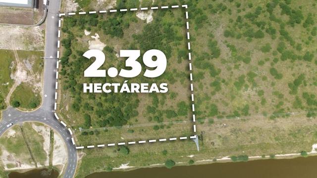 Foto de la galeria de imagenes